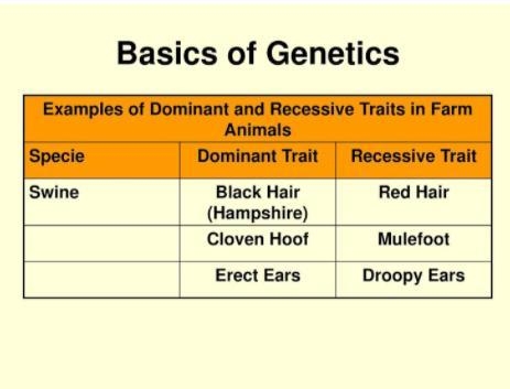 Use the genetics chart below to solve the following genetics problem. Two pigs that-example-1