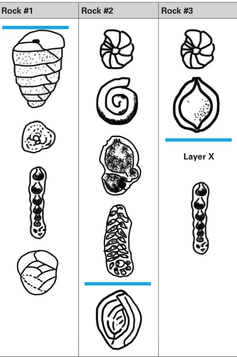 PLEASEEEEEEEE HELP 15 POINTS PLEAASSEEEE Your class is studying rocks from the Cretaceous-example-1