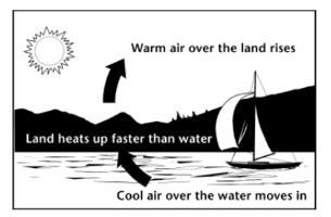 Use the diagram below to answer the following question. As air heats up and begins-example-1