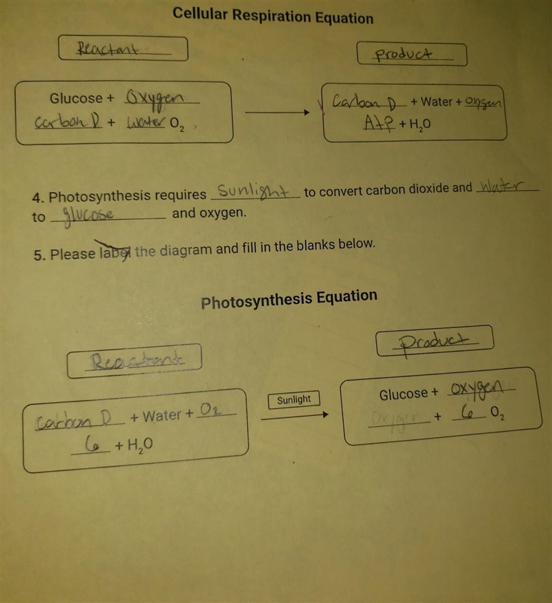 Reactant Cellular Respiration Equation Glucose + PLEASE HELP THIS IS HOMEWORK​-example-1