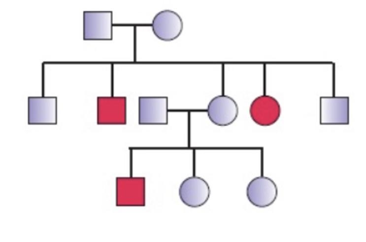 Analyze the following pedigree and choose which statement below is FALSE 3 individuals-example-1