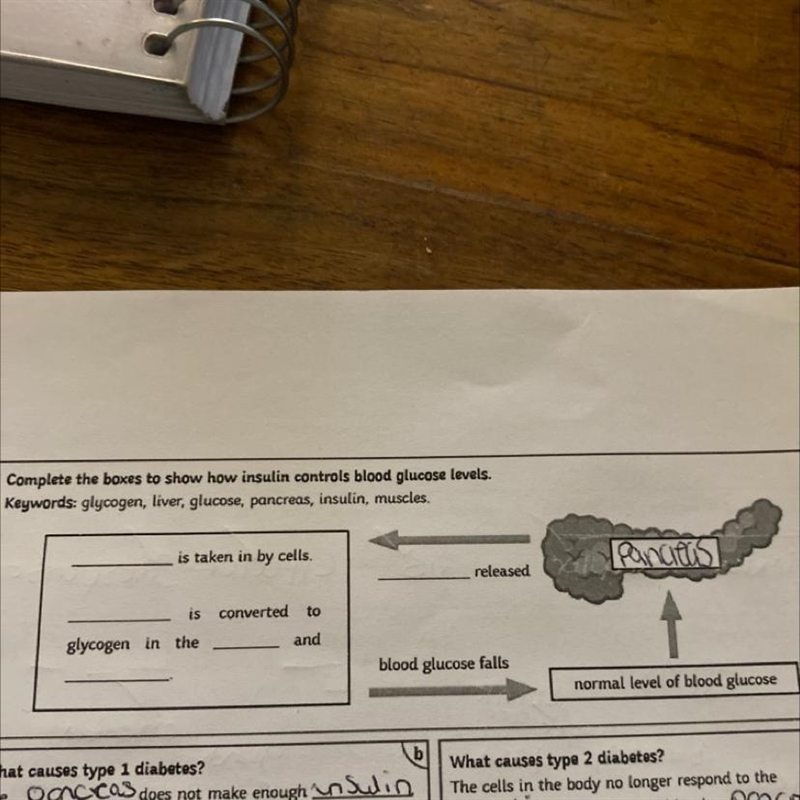 Complete the boxes to show how insulin controls blood glucose levels. Keywords: glycogen-example-1