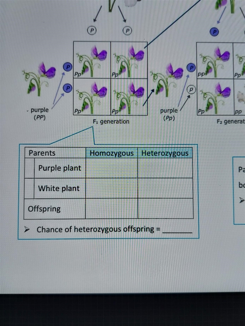 Can somebody please help​-example-1