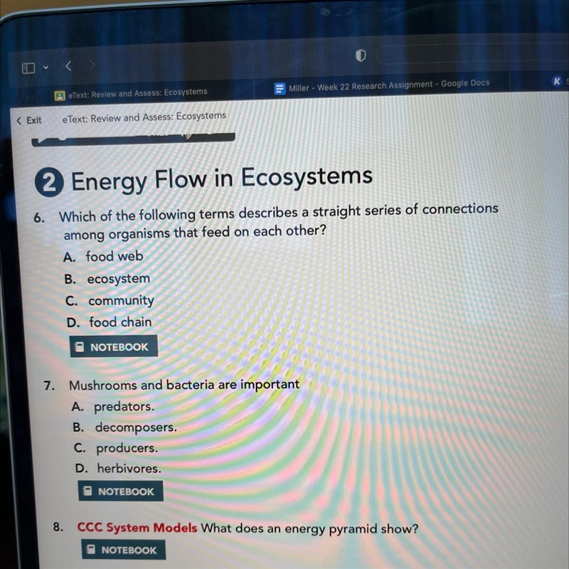 Which of the following terms describes a straight series of connections among organisms-example-1