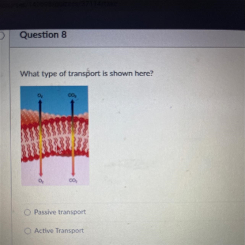 What type of transport is shown here? and how do you know?-example-1