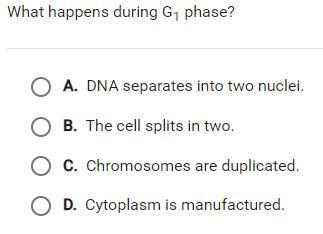 What happens during the G1 Phase?-example-1