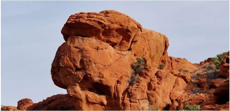 For the rock formation shown above make a hypothesis of what processes went into it-example-1