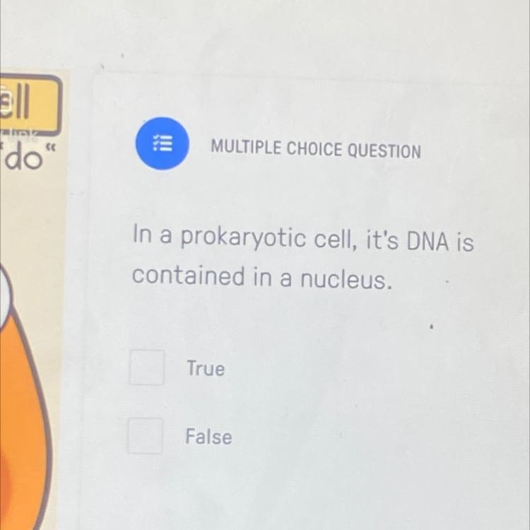 In a prokaryotic cell, it's DNA is contained in the nucleus. TrueFalse-example-1