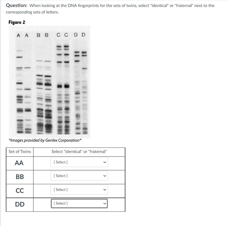 When looking at the DNA fingerprints for the sets of twins, select "identical-example-1