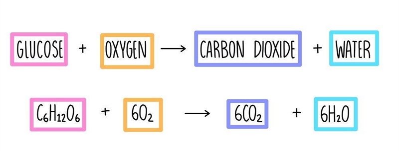 What is respiration? savestylesformat instructions.-example-1