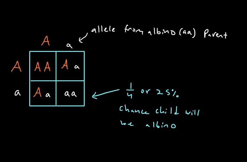 Albinism is a recessive trait. A man and woman are both of normal pigmentation, but-example-1