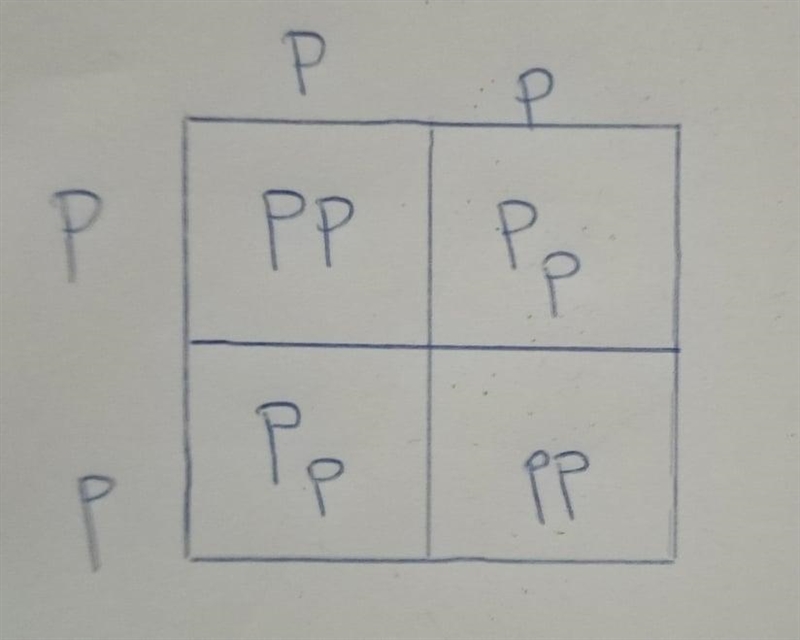 in pea plants, purple flowers are dominant to white flowers. If you cross twoheterozygous-example-1