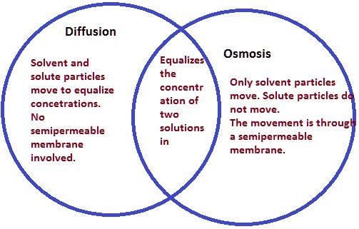 Diffusion vs Osmosis in a ven digram-example-1