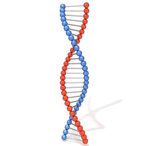 Depict the molecular structure of DNA.-example-1