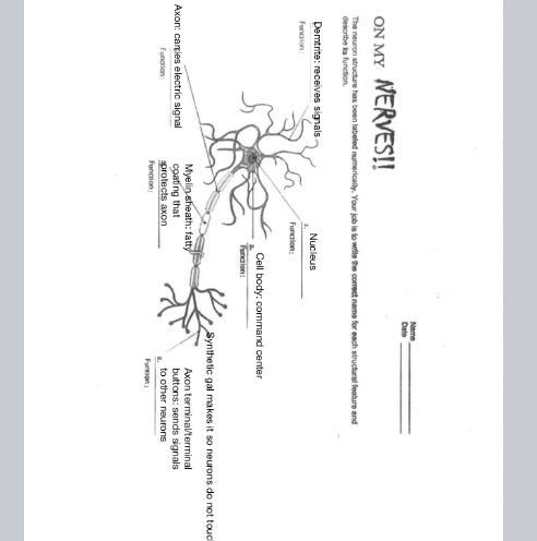 (Psychology) Identify and label all parts.-example-1