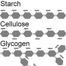 Select all that apply. What do glucose, starch, and cellulose have in common? They-example-1