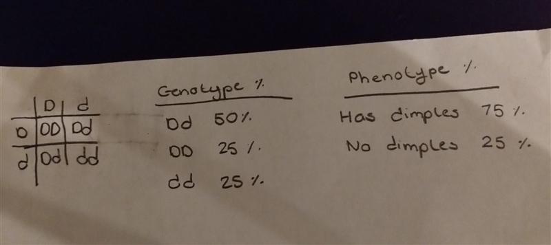 Describe the genotype ratio for their offspring? describe the phenotype ratio for-example-1