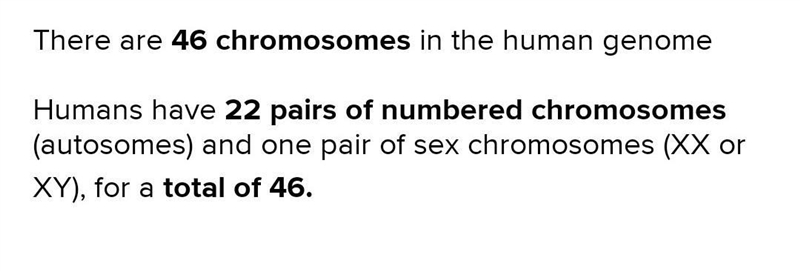 How many chromosomes does the human genome contain?.-example-1