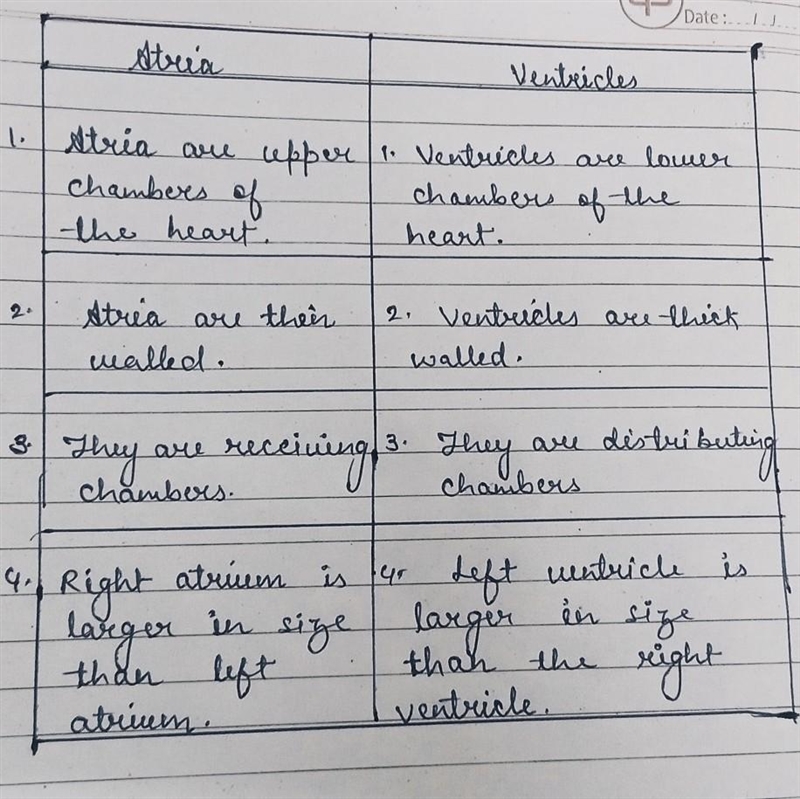 Compare between Atrium and ventricle in one point-example-1