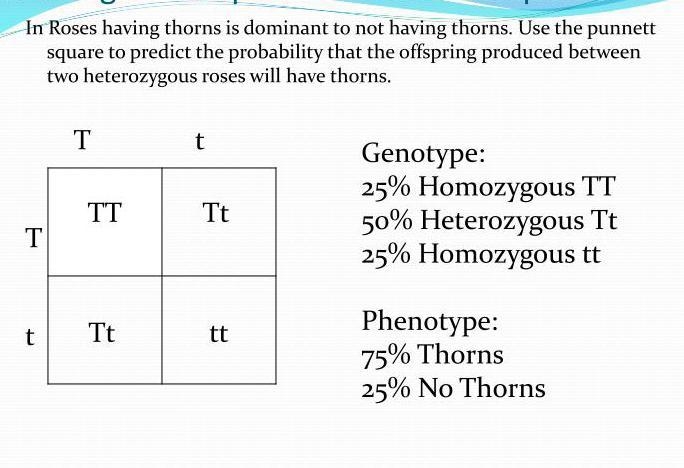 I’m stuck please help it’s due and grades are closing-example-1