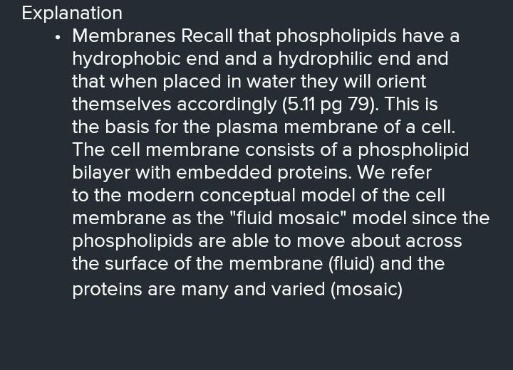 The cell membrane is said to be:-example-1