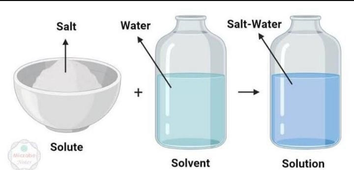 5. The substance being dissolved in a solution. A. sands B. solute C. solvent D. alloy-example-1