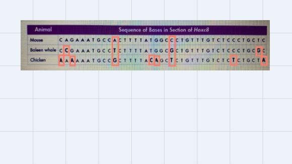 The data table shown below compares a small portion of the DNA for the same gene in-example-1