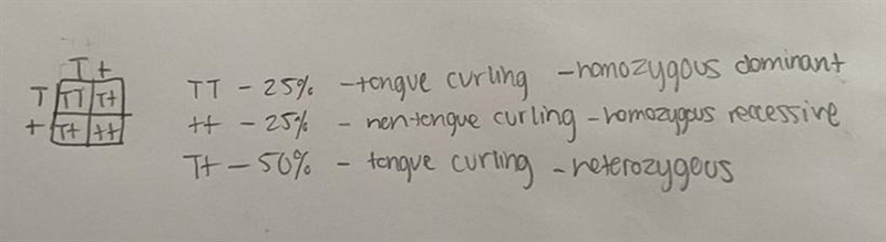 Tongue curling in humans is a dominate trait. Suppose a man who is Tt for tongue curling-example-1