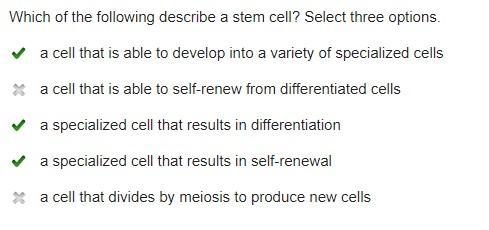 Which are sources of adult stem cells? Select three options.-example-1