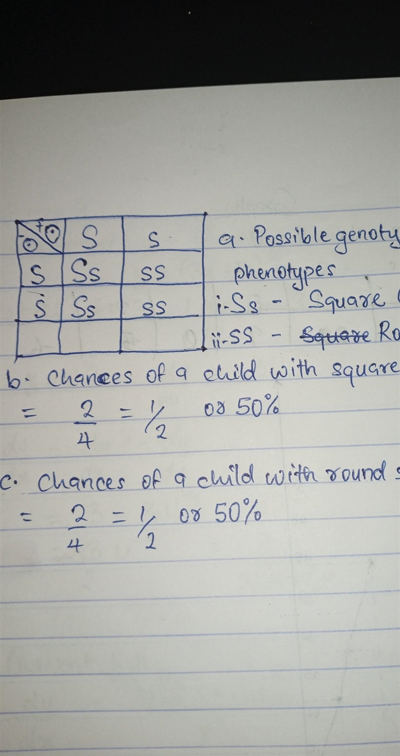 Monohybrid crosses fill in the blanks-example-1