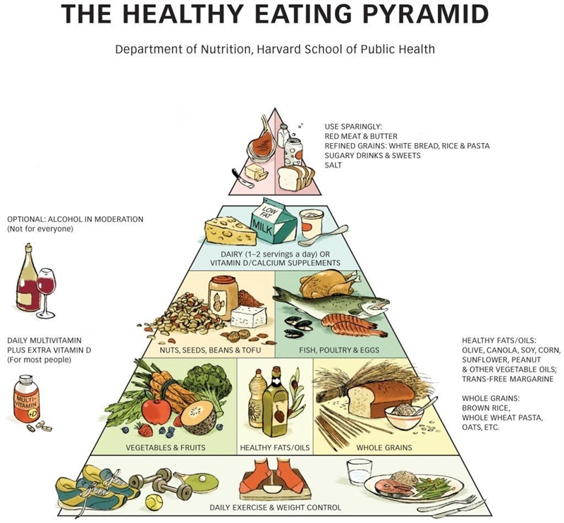 Summary of food pyramids in extreme detail!-example-1