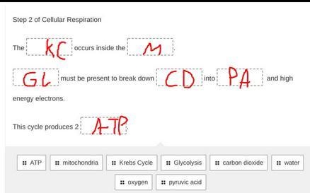 Biology- Fill in the blanks with the word bank provided in the picture. Two words-example-1