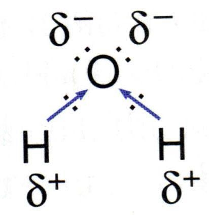 Intramolecular forces vs intermolecular forces examples.-example-1