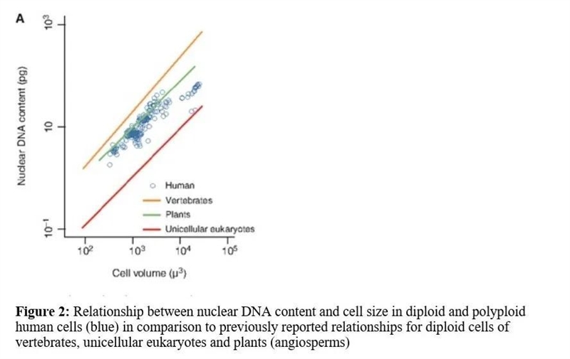 Based on the below image Compare the nuclear DNA content and cell volume of each species-example-1