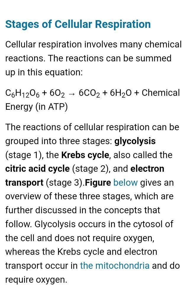 Adenosine triphosphate (ATP) is considered to be the energy currency of life. It is-example-1