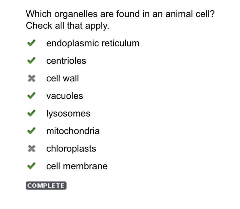 Which organelles are found in an animal cell? Check all that apply. endoplasmic reticulum-example-1