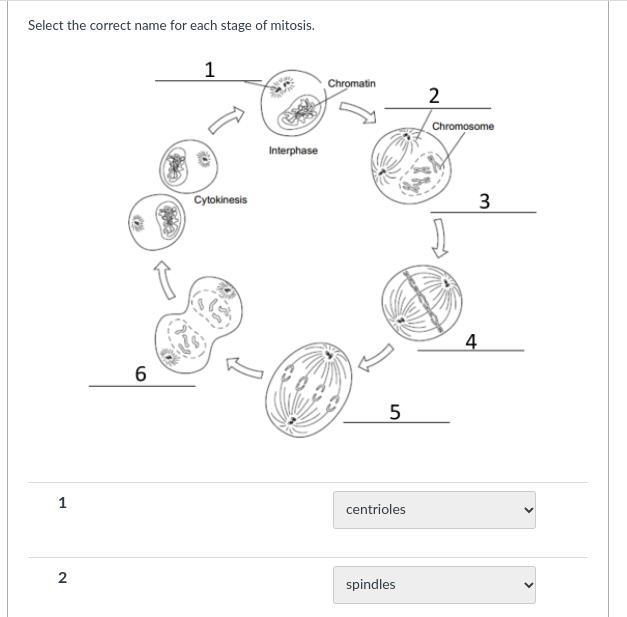 Can someone help me with this-example-1