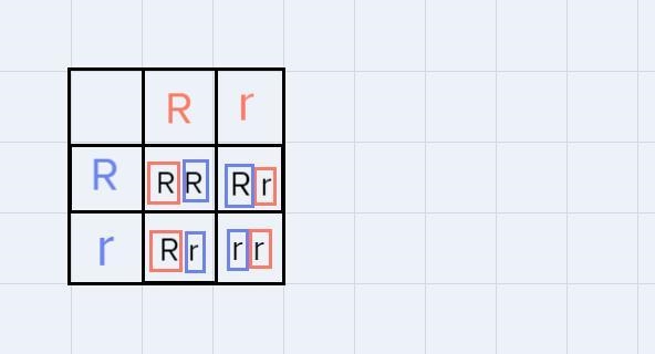 Two heterozygous red plants (Rr) were crossed. Pink recessive.A. Determine the genotypes-example-1