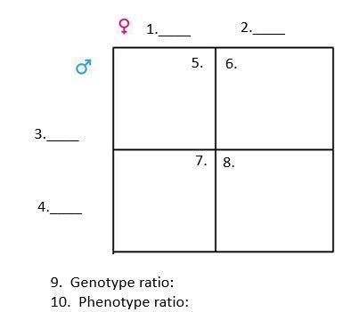 !!!PLEASE HELP 80 POINTS!!! There are 10 answers to this one question. When typing-example-1