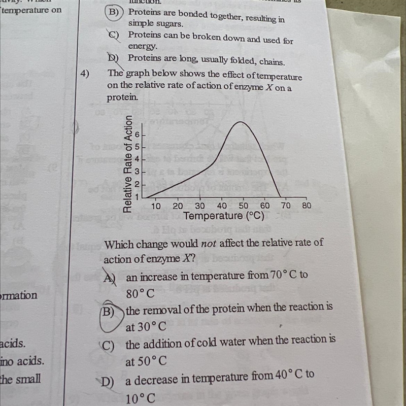 Which change would not affect the relative rate of action of enzyme x-example-1