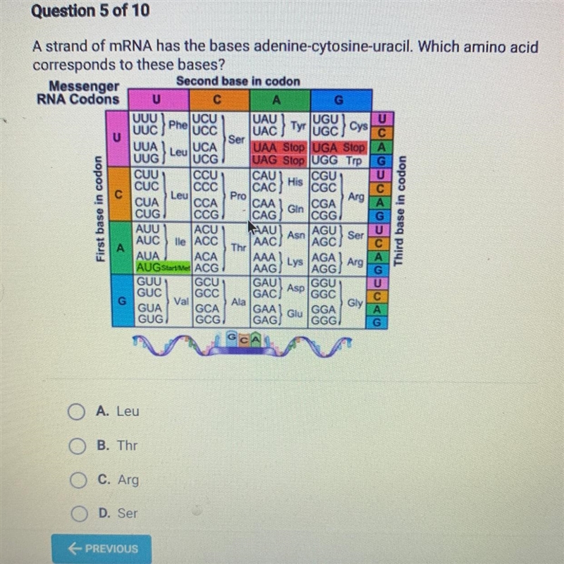 A strand of mRNA has the bases adenine-cytosine-uracil. Which amino acid corresponds-example-1