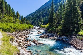 Which factor is most responsible for eroding the riverbank? Gravity Ice Water Wind-example-1