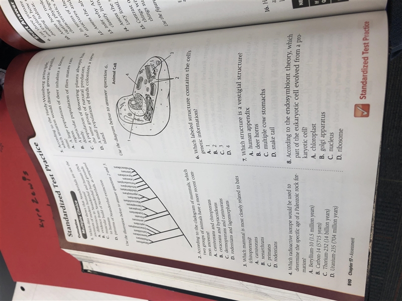 It’s number 2 according to the cladogram of mammals, which two groups of animals have-example-1