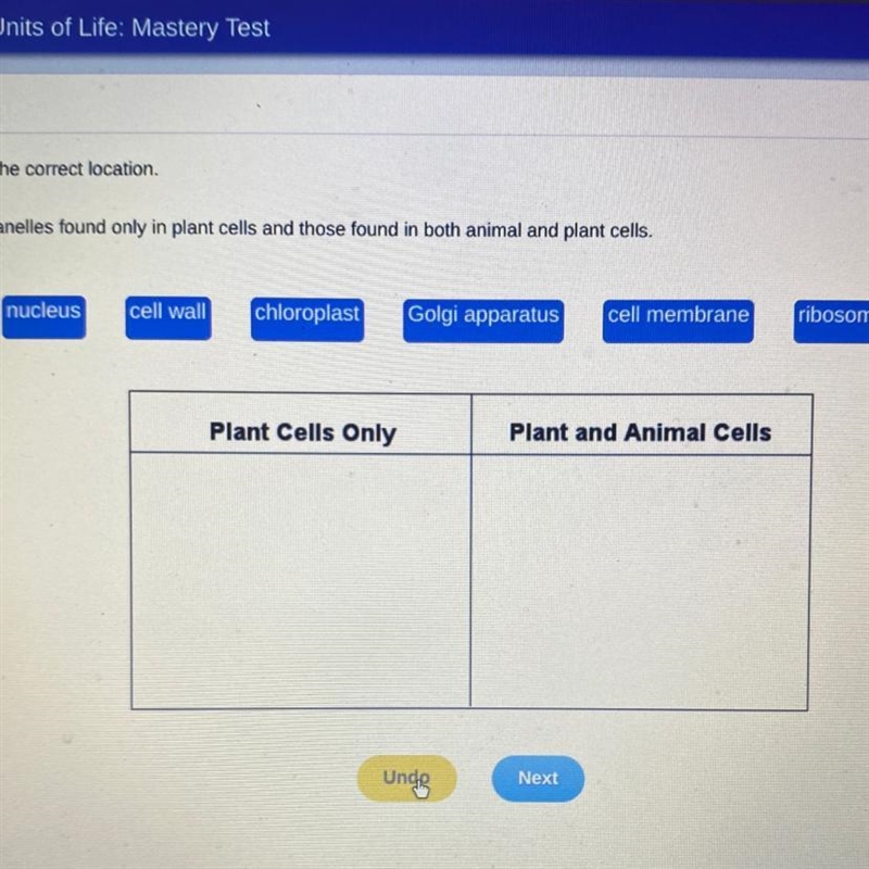 Identify the cell organelles found only in plant cells and those found in both animal-example-1