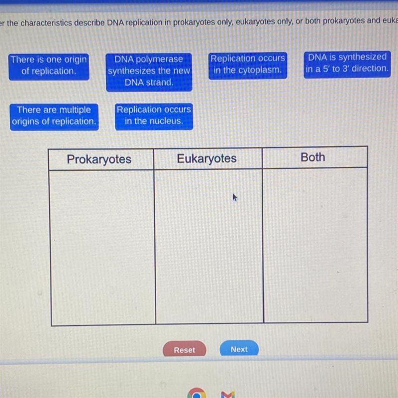 determine whether the characteristic describeDNA replication in prokaryotes only, eukaryotes-example-1