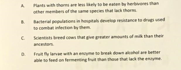 Which is not an example of natural selection?-example-1