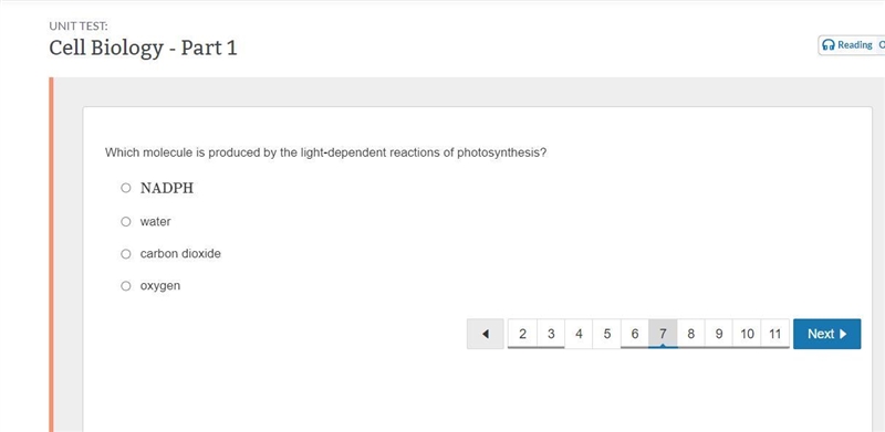 Which molecule is produced by the light-dependent reactions of photosynthesis? HELP-example-1