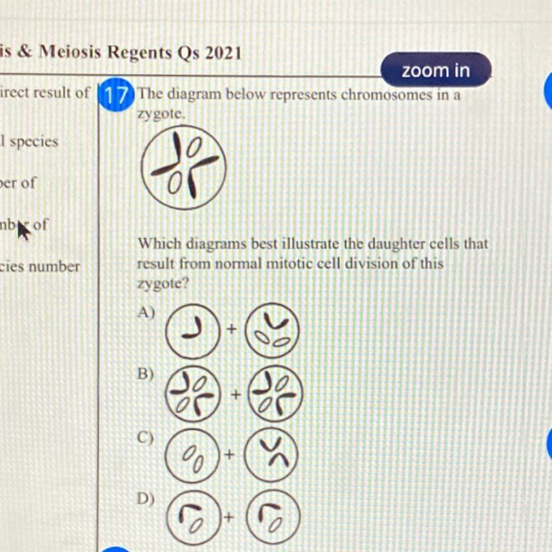 Which diagrams best illustrate the daughter cells that result from normal mitotic-example-1