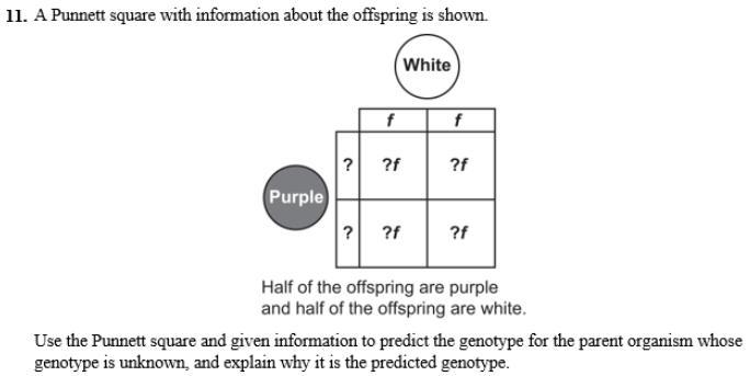 Can Someone Help me with this Answer (Biology) I Added The Question as a "ScreenShot-example-1