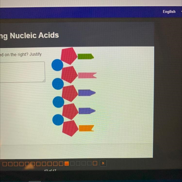 Which nucleic acid is pictured on the right?-example-1